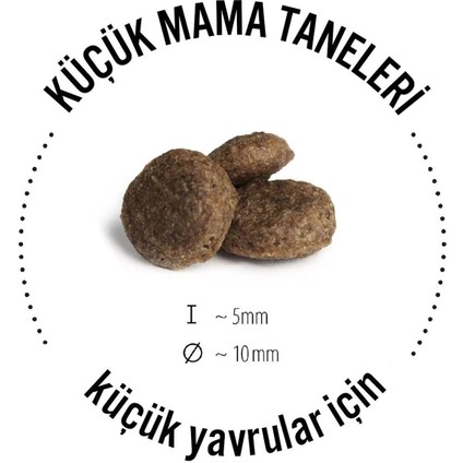 Mini Irland Somonlu Hassas Köpek Maması 4 kg fiyatları