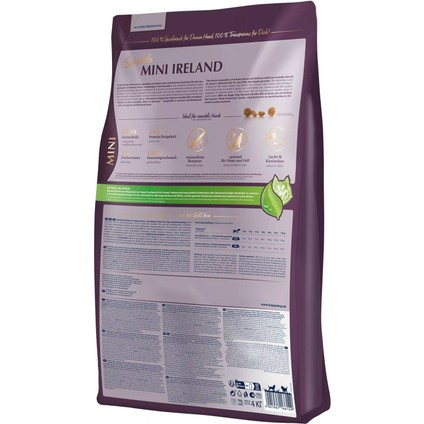 Mini Irland Somonlu Hassas Köpek Maması 4 kg modelleri