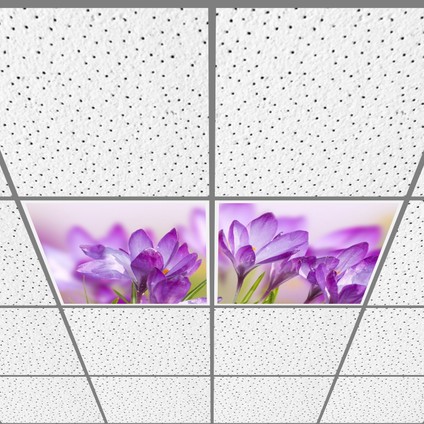 60X60 LED Panel Aydınlatma Armatür Avize Sıva Altı Desenli 1x2 Ikili Grup 46510889SA