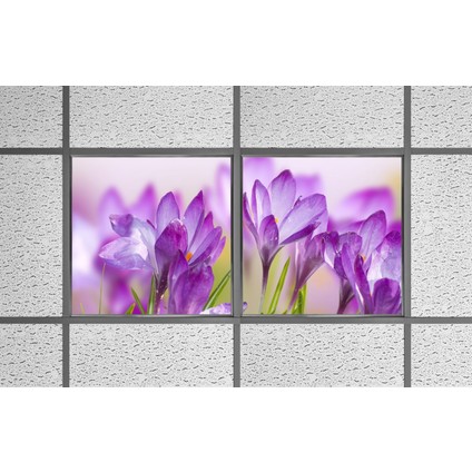 60X60 LED Panel Aydınlatma Armatür Avize Sıva Altı Desenli 1x2 Ikili Grup 46510889SA modelleri