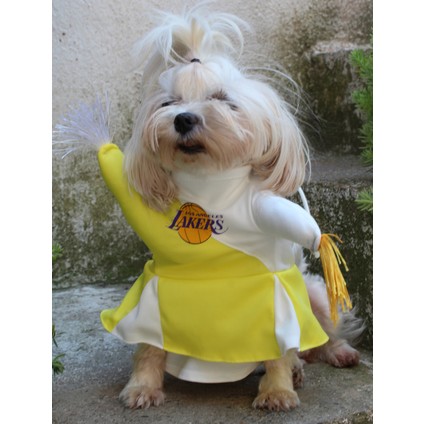 Amigo Kiz Sari Onden Giydirmeli Köpek Kıyafeti Kostümü fiyatları