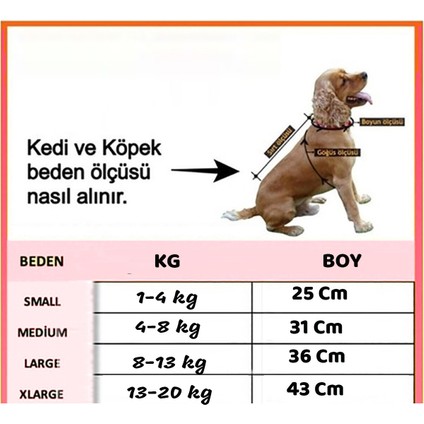 Amigo Kiz Sari Onden Giydirmeli Köpek Kıyafeti Kostümü modelleri