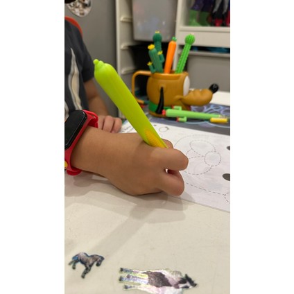 Havuç Mısır ve Kaktüs Şekilli Tükenmez Kalem 2 Adet