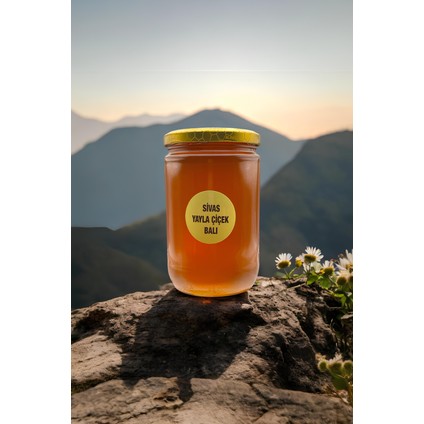 Sivas Yayla Çiçek Balı 850 gr modelleri
