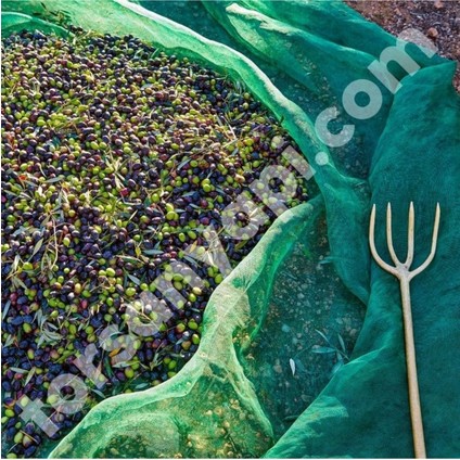 Zeytin Toplama Filesi – Sergenlik – Yüzde 75Lik Yeşil – Tüm Ebatlar - 1 Metre x 12 Metre fiyatları