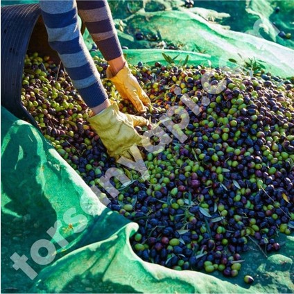 Zeytin Toplama Filesi – Sergenlik – Yüzde 75Lik Yeşil – Tüm Ebatlar - 1 Metre x 12 Metre modelleri