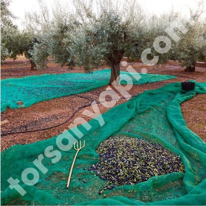Zeytin Toplama Filesi – Sergenlik – Yüzde 75Lik Yeşil – Tüm Ebatlar - 1 Metre x 12 Metre fırsatları