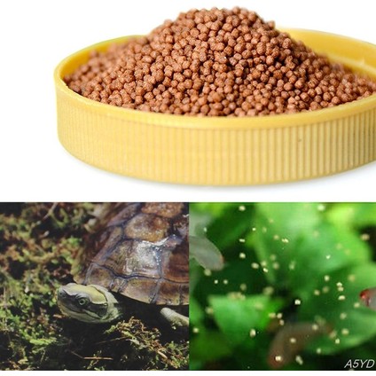 Yüksek Proterulina Buğday Soya Balığı Kaplumbağa Yemi Bağışıklığı Geliştirir Sağlıklı Lezzetli Ev Akvaryumu Kaplumbağa Yemi Tedarik (Yurt Dışından)
