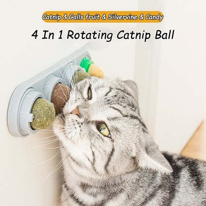 Kedi Nanesi Oyuncakları Silvervine Topları Diş Temizleme Diş Duvarı Ödülleri Ekstra Kedi Enerji Topu Yenilebilir Kediler Yalama Sağlıklı Yavru Kedi Çiğneme (Yurt Dışından) modelleri