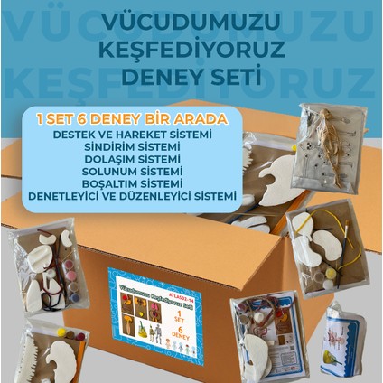 Vücudumuzu Keşfediyoruz Deney Seti 6 Set 1 Arada | 02-14