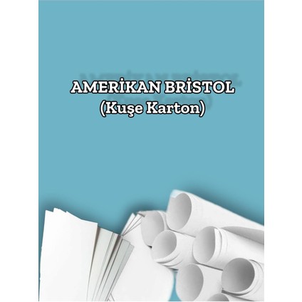 270 Gr. Amerikan Bristol Kağıt Karton 35X50 50 Adet