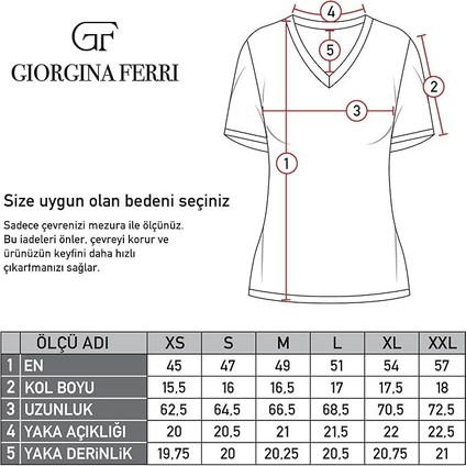 3'lü Kutu Premium Kadın V Yaka Tee T-Shirt Rosie modelleri