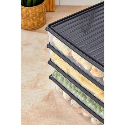 Hava Geçirmez, Dondurucu Uyumlu 4’lü Saklama Kabı Seti 2.5l (Toplam 10L) ile Tazelik ve Düzen fiyatları