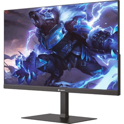 GB-2411FF 23.8" 100Hz 1ms Mprt Fast IPS Fhd Hdmı+Vga Flat Gaming Monitör