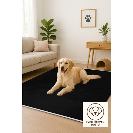 Lofy Halı Tek Renk Siyah Salon Halısı Kaymaz Taban 160X230 indirimleri