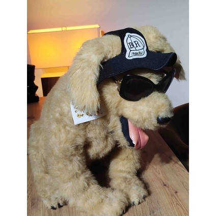 Kedi &köpek Şapka Açıklamayı Okuyun Lütfen