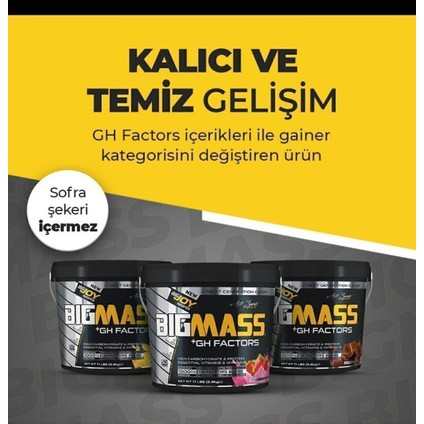 Bigjoy Big Mass Gainer GH Factors 5000 gr Çikolata Aromalı Arjinin ve B6 Vitaminli Karbonhidrat Tozu – Türkiye Üretimi Erkek Sporculara Özel