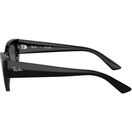 Güneş Gözlüğü RB4430 49 667787 modelleri