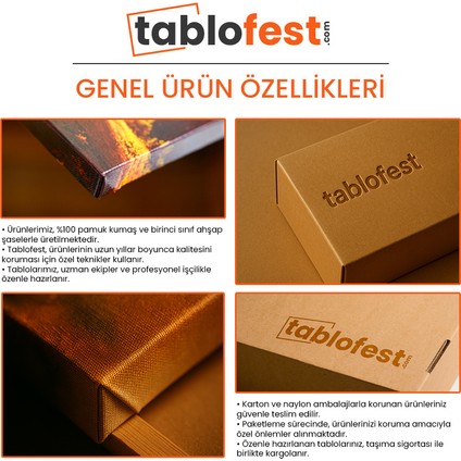 Özel Jet - Bulutlar Arasında Lüks Seyahat Kanvas Tablo indirimleri