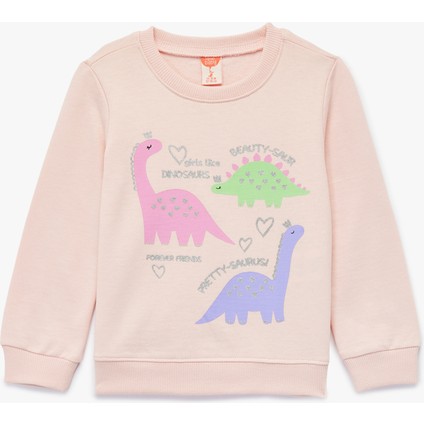 Uzun Kollu Bisiklet Yaka Dinozor Baskılı Şardonlu Pamuklu Sweatshirt