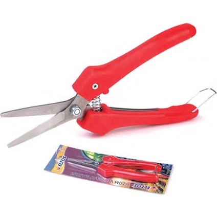 Üzüm Makası ( Lisinya )