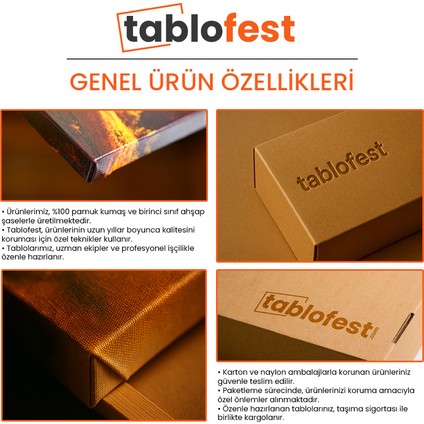 Özel Jet - Bulutlar Arasında Lüks Seyahat Kanvas Tablo