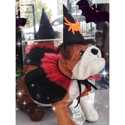 Kedi&köpek 🎃halloween Parti Kostüm Şapka modelleri
