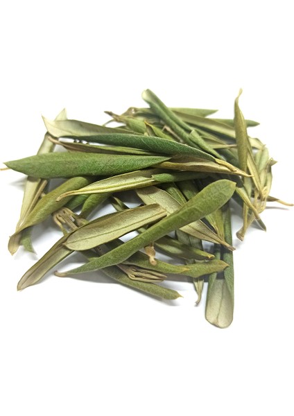 Zeytin Yaprağı 100 gr