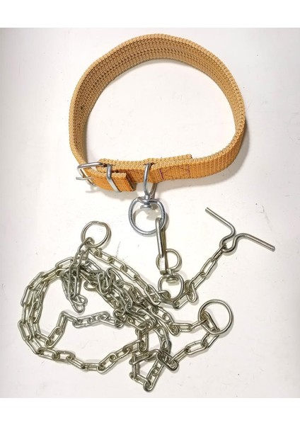 70CM Kurt Kangal Tarzı Büyük Köpeklere Özel Zinciriyle Tam Set Köpek Tasması Rahat Dana Boyunluğu