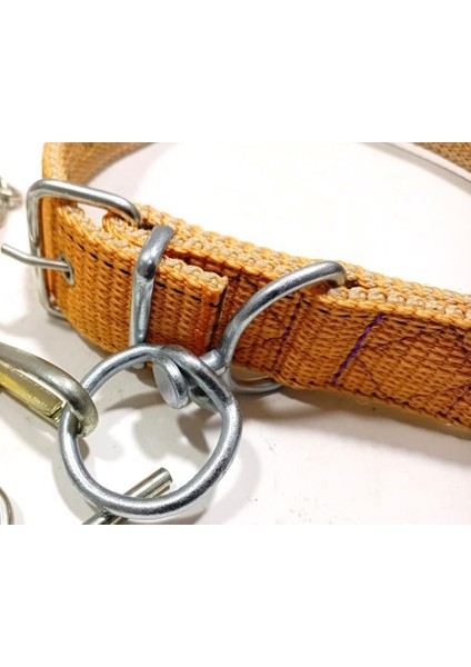 70CM Kurt Kangal Tarzı Büyük Köpeklere Özel Zinciriyle Tam Set Köpek Tasması Rahat Dana Boyunluğu modelleri