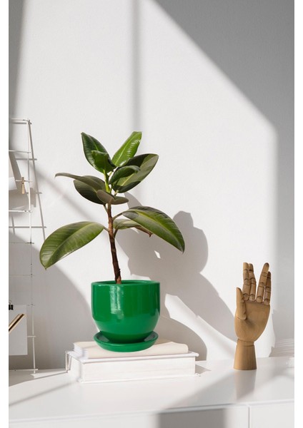 Tabaklı Çimen Çömlek Saksı 19X19 cm