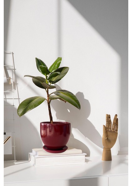 Tabaklı Bordo U Çömlek Saksı 24X24 cm