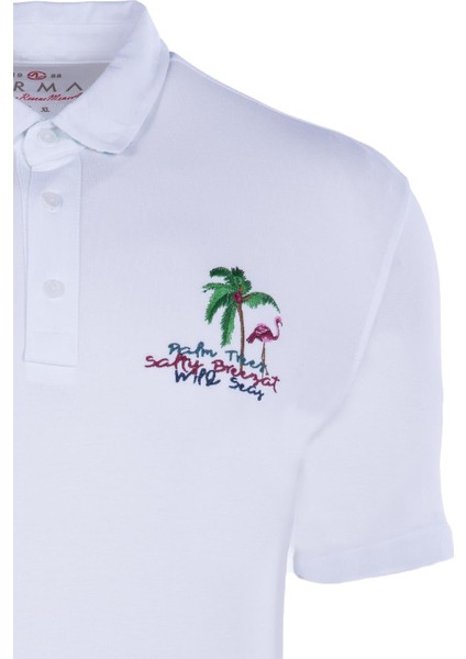 Erkek Polo Yaka Tişört Y21374275301 fiyatları