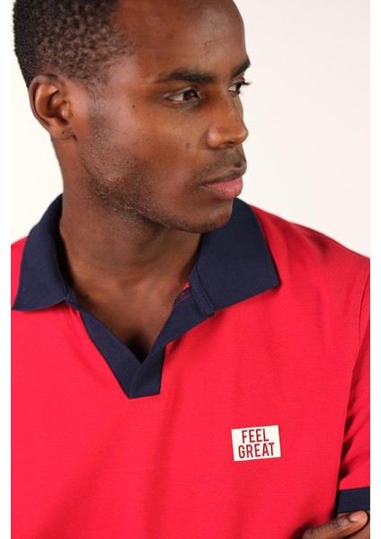 Erkek Polo Yaka Tişört Y22374302101 fiyatları