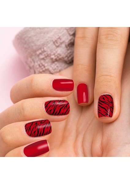 2' Li Zebra Desenli Tırnak Dövmesi, Tırnak Sticker, Nail Tattoo, Nail Art