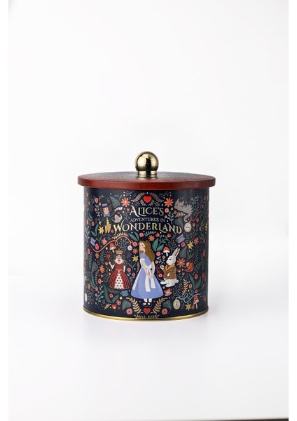 ER143-9A Tales Alices Desenli Yuvarlak Metal Saklama Kabı 14 cm fiyatları