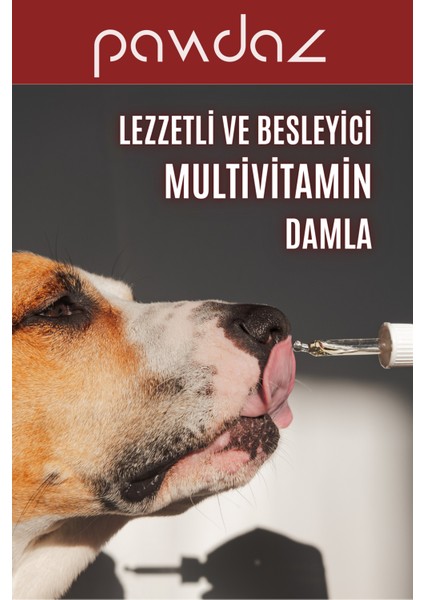 Dermadrop - Deri ve Tüy Sağlığını Destekleyen Damla (Biotin, Çinko, B Vitaminleri) Köpek