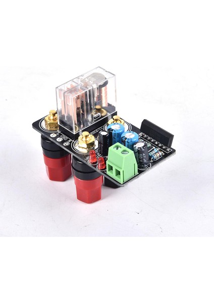 UPC1237 Hoparlör Koruma Kartı Doğrudan Monte Edilen Hifi Amplifikatör Dıy AC12-24V (Yurt Dışından)