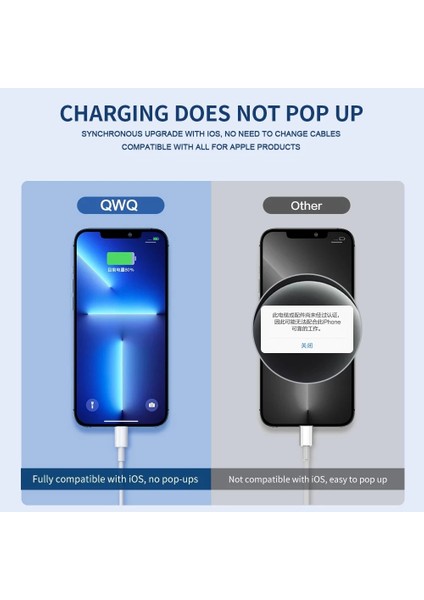 2-1 Adet USB C Kablosu iPhone 14 13 12 11 Pro Max 8 Artı Pd Hızlı Şarj Xr x Xs Max USB Yıldırım Kablosu iPad Hava Veri Hattı (Yurt Dışından) modelleri