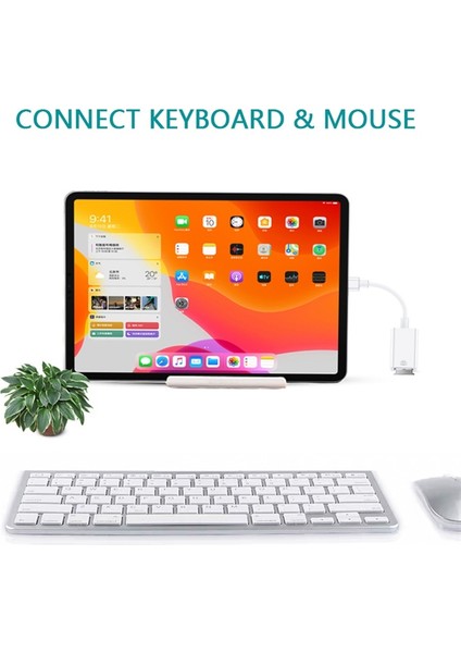Bluewow S34 Lightning - USB Adaptör Otg Kablosu Ios Için iPhone 12/12 Pro/11/11 Pro/xs Max/xr/8 Plus, iPad Pro/mini/air ile Uyumlu (Yurt Dışından)
