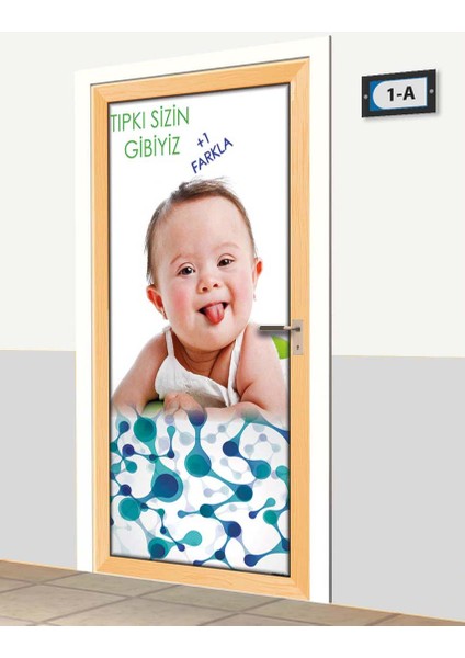 Kapı Giydirme - Özel Eğitim Sınıfı - K716 fiyatları