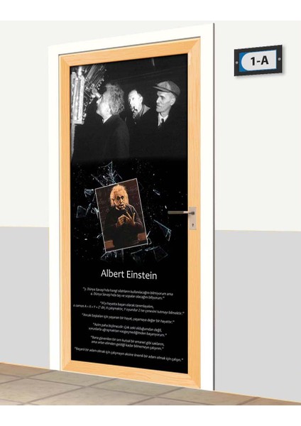 Kapı Giydirme - Albert Einstein - K369 fiyatları
