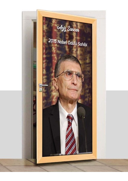 Kapı Giydirme - Aziz Sancar - K682