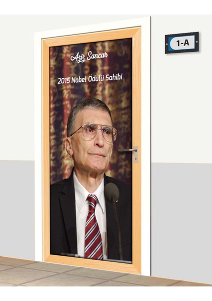 Kapı Giydirme - Aziz Sancar - K682