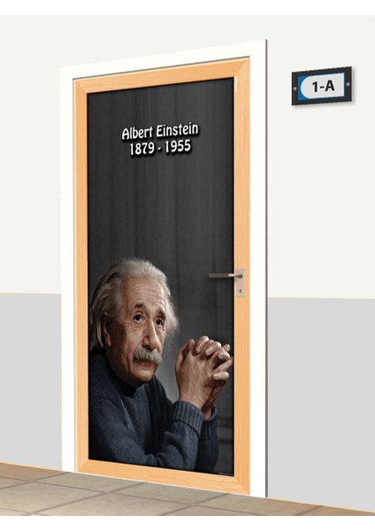 Kapı Giydirme - Albert Einstein - K368 fiyatları