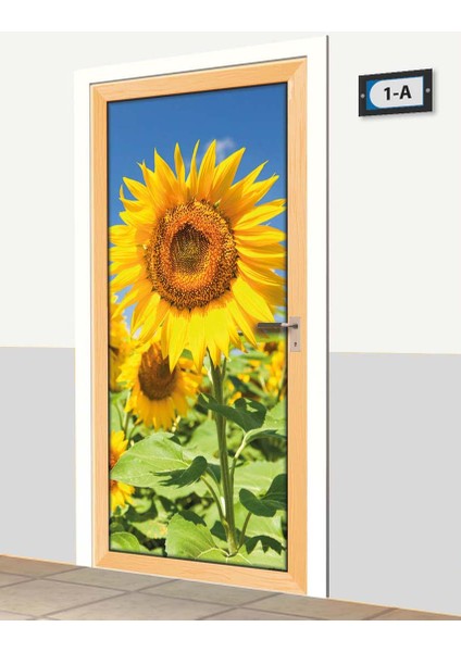 Kapı Giydirme - Doğa - K503 fiyatları