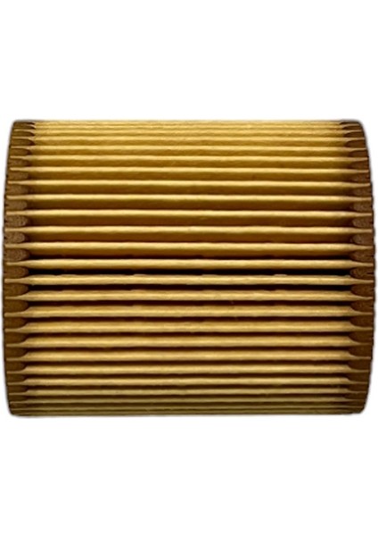 Range Rover Iıı L322 (3.0 D) 2002-2009 Yağ Filtresi fırsatları