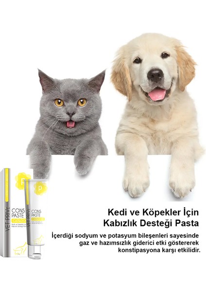 Vet Prive Kedi ve Köpekler Için Gaz ve Hazım Desteği Cons Pasta 100GR