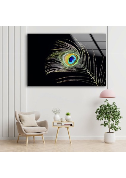 Tavus Kuşu Tüyü Cam Duvar Tablosu modelleri