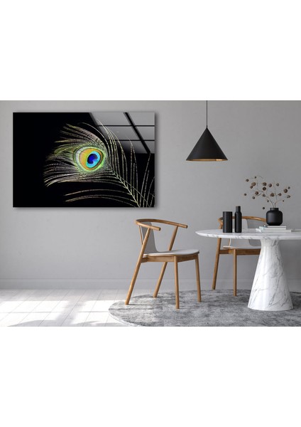 Tavus Kuşu Tüyü Cam Duvar Tablosu fırsatları